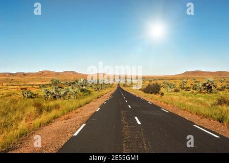 Road leading from Ranohira to town Ilakaka, small bushes and palm trees on sides, hills in distance - typical Madagascar landscape Stock Photo