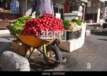 Large heap of fresh radish vegetable displayed on street in wheelbarrow - fruit and vegetables are usually sold on streets at Jordan Stock Photo