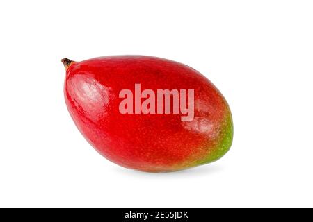 Fresh isolated red mango on white background. Stock Photo