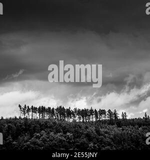 Lovely forest covered hills with stormy clouds over them (color toned image) Stock Photo