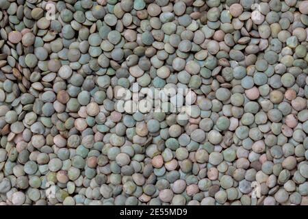 Raw green lentil background pattern and texture Stock Photo