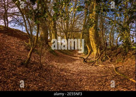 A sunken lane or hollow way near Kenilworth castle. Stock Photo