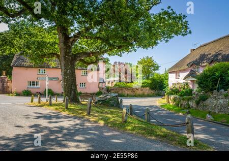 Thatched cottages around the green in Waddetonin Devon. Stock Photo