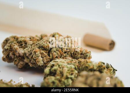 Close-up of medical marijuana buds with grinder on white background. Concepts of alternative medicine and herbs Stock Photo