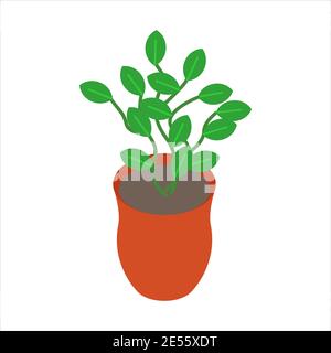 Houseplant in the pot vector illustration eps. 10 Stock Vector