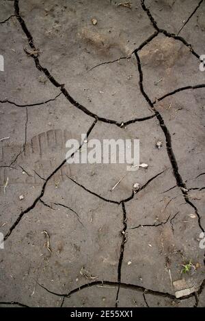 Large cracks in the ground. Abstract lines. Beautiful background. Nature. Stock Photo