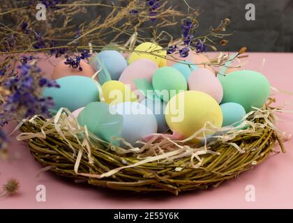 Multi-colored Easter eggs and feathers in pastel colors lie in a nest of branches on a pink background. Festive Easter card. Stock Photo
