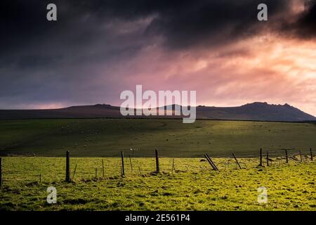 Evening light over Rough Tor on Bodmin Moor in Cornwall. Stock Photo