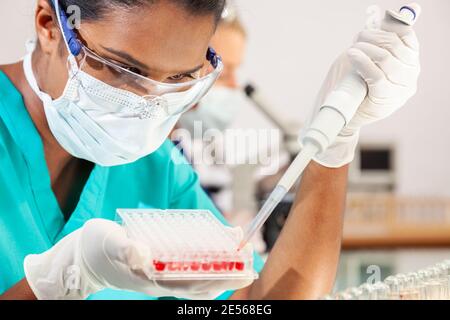 Female Asian medical or scientific researcher or doctor wearing face mask with sample tray of blood samples in a laboratory with her blond female coll Stock Photo