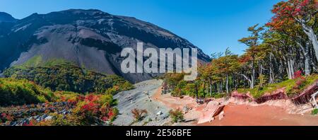 Panoramic view over surreal mountains and forests in Torres del Paine National Park at sunny day and blue sky during golden Autumn, Patagonia, Chile Stock Photo