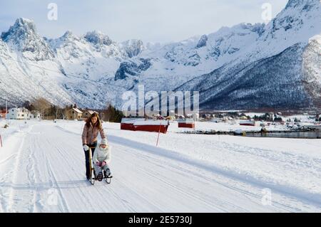 Kicksled on the roads of Vesterålen in Northern Norway in a magnificent ...