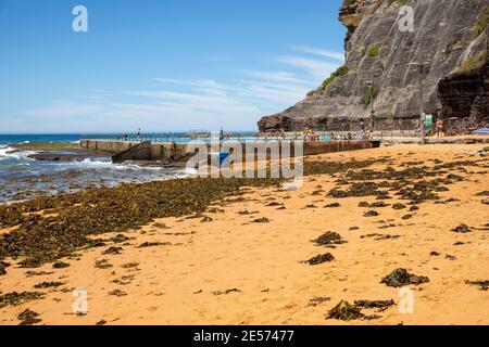 Seaweed accumulating on Bilgola Beach in Sydney and rock mesh netting installed on the cliff face to prevent rocks falling onto ocean rockpool Stock Photo