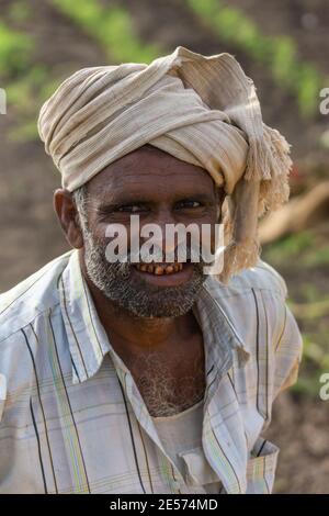 Abbigeri, Karnataka, India - November 6, 2013: Closeup of face of peanut farmer. White turban, graying beard and light shirt. Stock Photo