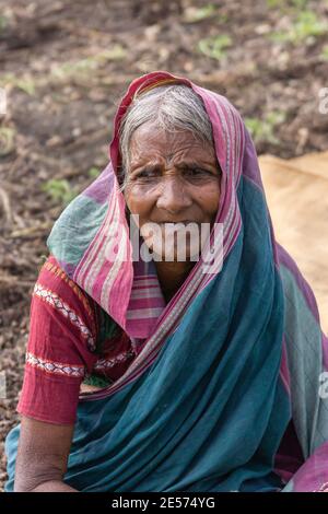 Abbigeri, Karnataka, India - November 6, 2013: Closeup of older female peanut harvester in purple, pink sari and garb. Stock Photo