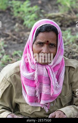 Abbigeri, Karnataka, India - November 6, 2013: Closeup of married female peanut harvester with pink shawl and greenish vest. Stock Photo