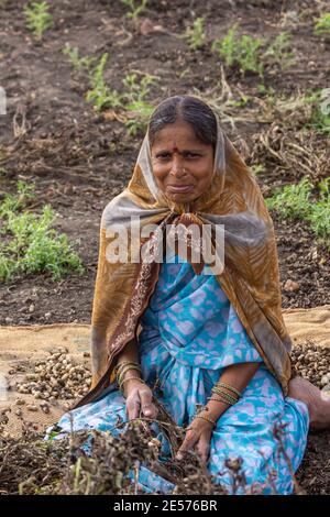 Abbigeri, Karnataka, India - November 6, 2013: Closeup of smiling married female peanut harvester with brown shawl and blue sari. Stock Photo