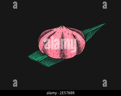 Japanese dessert Mochi in rice dough. Vector illustration for an Asian restaurant. Hand Drawn engraved sketch for menu. Monochrome style. Vector Stock Vector