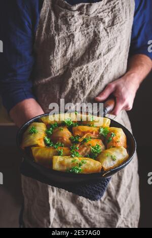 Chef Holding Pan with Cooked Cabbage Rolls Stuffed with Ground Meat Stock Photo