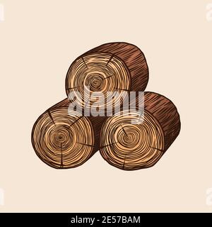 Wood or logs. Piece of Tree. Plank or lumber and Cut, Firewood in vintage style. Vector illusion for signboard, labels, logo or banner. Campfire Stock Vector