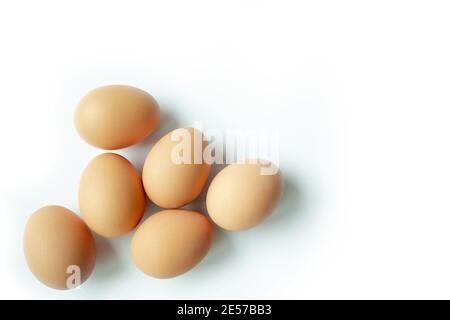 Brown Chicken Eggs on White Background. Copy space. Stock Photo