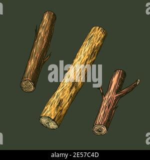 Wood or Pieces of Tree. Planks and logs, lumber and Cuts, Firewood in vintage style. Vector illusion for signboard, labels, logo or banner. Campfire Stock Vector