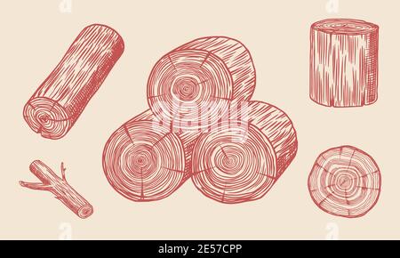 Wood set. Planks and logs, lumber and Cuts, Firewood in vintage style. Pieces of Tree. Vector illusion for signboard, labels, logo or banner. Campfire Stock Vector