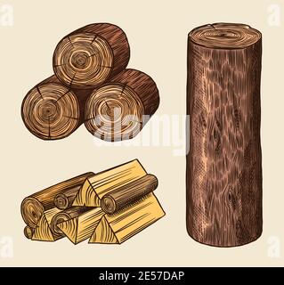 Wood set. Planks and logs, lumber and Cuts, Firewood in vintage style. Pieces of Tree. Vector illusion for signboard, labels, logo or banner. Campfire Stock Vector