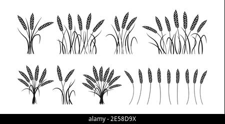 Wheat ears cartoon black silhouette set. Sheaf, bunch grain ripe collection, agricultural symbol flour production. Design organic farm elements, organic vegetarian bread packaging beer label vector Stock Vector