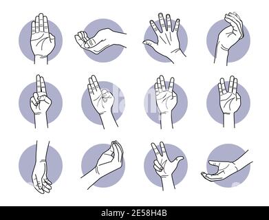 Hand fingers and palm gestures. Vector illustrations of various poses of hand fingers and actions. Stock Vector