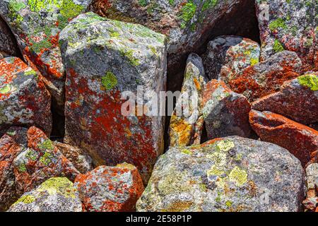 Stone rock texture with colorful red moss and lichen Vang Norway. Stock Photo