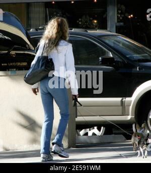 Exclusive!! Dyan Cannon still looks hot at 70! The actress took her pooches along for an hour-long shopping trip to buy Christmas presents. West Hollywood, CA. 12/12/07.    [[rac ral]] Stock Photo