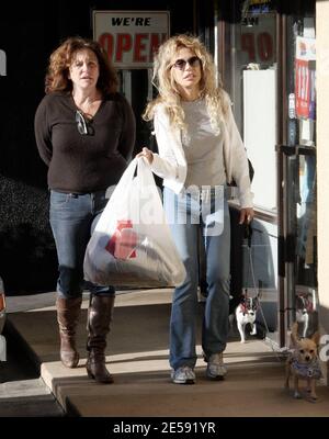 Exclusive!! Dyan Cannon still looks hot at 70! The actress took her pooches along for an hour-long shopping trip to buy Christmas presents. West Hollywood, CA. 12/12/07.    [[rac ral]] Stock Photo