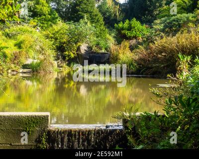 Kubota Garden is a 20-acre (81,000 m²) Japanese garden in the Rainier Beach neighborhood of Seattle, Washington. Major features of the Kubota Garden i Stock Photo