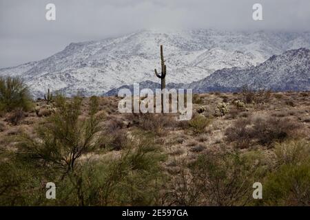 A winter storm covers the Four Peaks Mountains in snow in the Arizona desert wilderness outside the city of Phoenix. Stock Photo