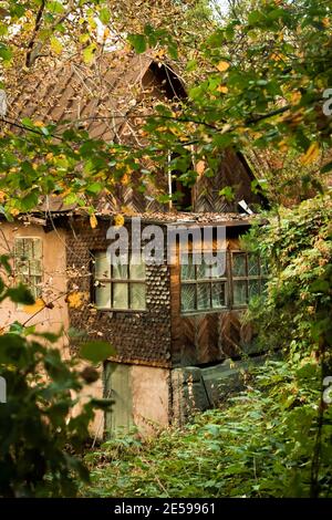 charming small house in the middle of a forest among trees Stock Photo