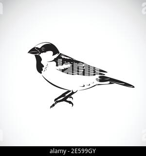 Vector of sparrow design on white background. Bird Icon. Easy editable layered vector illustration. Wild Animals. Stock Vector
