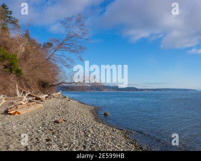 Camano Island State Park is publicly owned recreation area on Camano Island in Puget Sound located 14 miles (23 km) southwest of Stanwood in Island Co Stock Photo