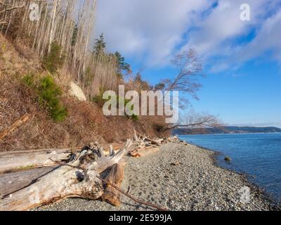 Camano Island State Park is publicly owned recreation area on Camano Island in Puget Sound located 14 miles (23 km) southwest of Stanwood in Island Co Stock Photo