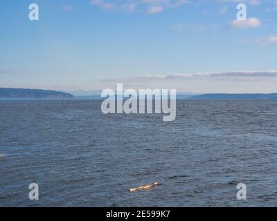 Camano Island State Park is publicly owned recreation area on Camano Island in Puget Sound located 14 miles (23 km) southwest of Stanwood in Island Co Stock Photo