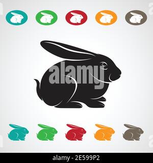 Vector image of an rabbit on white background Stock Vector