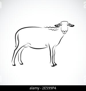 Vector of a sheep on white background. Farm Animal. Stock Vector