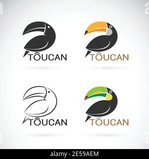 Vector of toucan bird design on white background. Easy editable layered vector illustration. Wild Animals. Stock Vector