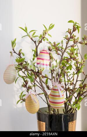 Easter eggs hanging on a spring blossom branch. Easter decorations. Birch tree branches decorated with bright painted eggs. Postcard. Selective focus Stock Photo