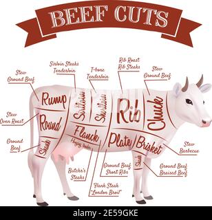 Beef cuts concept with realistic cow with parts scheme vector illustration Stock Vector