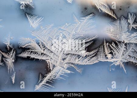 Ice flower on a frozen window. Energy efficiency and weather conditions. Stock Photo