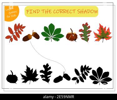 find a suitable shade for the leaves of the trees. maple, rowan, oak, chestnut, acorn Stock Vector