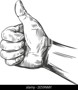 like and dislike, thumbs up sign icon. hand drawn vector illustration realistic sketch. Stock Vector