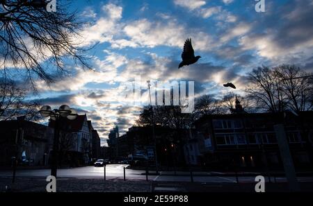 27 January 2021, Lower Saxony, Hanover: A pigeon flies in the deserted city center. The Corona measures and the lockdown in Germany continue to apply until at least mid-February. Photo: Julian Stratenschulte/dpa Stock Photo