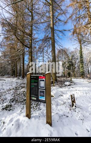 Speech House Woods car park sign. Forest of Dean Sculpture Trail, Speech House Woods, Gloucestershire. Stock Photo