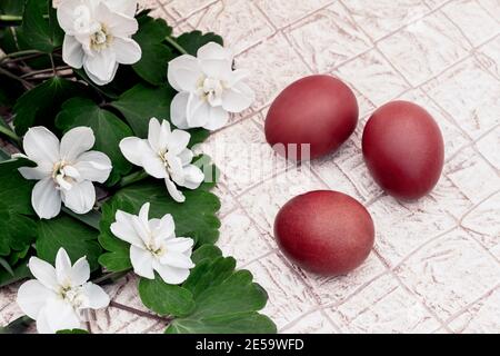 Three red Easter eggs and blooming daffodils Stock Photo